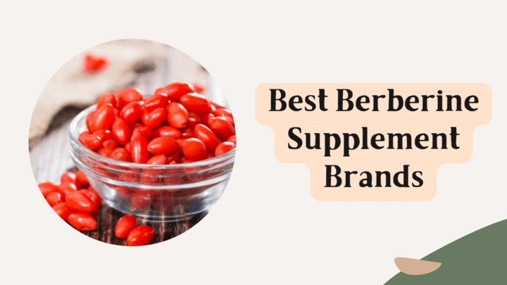 Best Berberine Supplement Brands